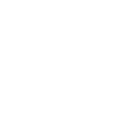 专业
